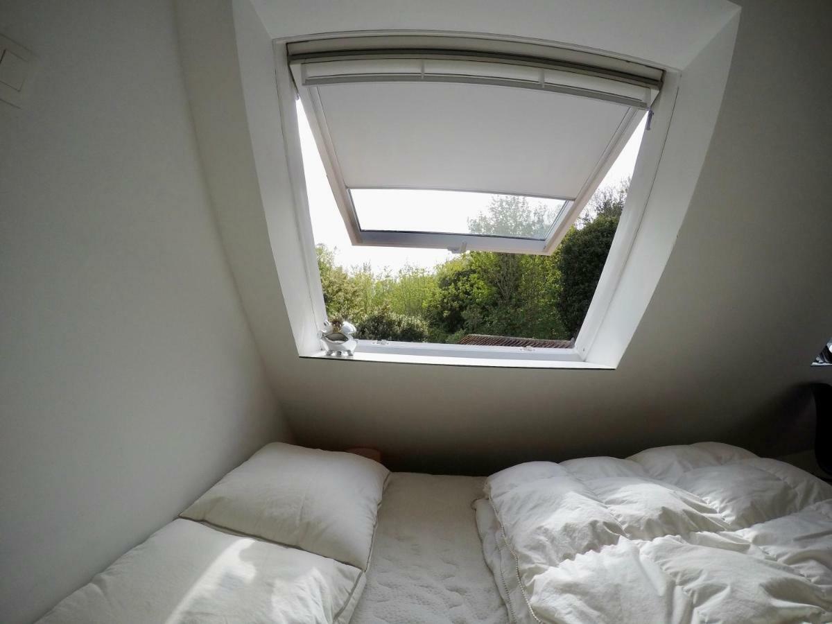 Chaleureux Villa Wenduine Dış mekan fotoğraf